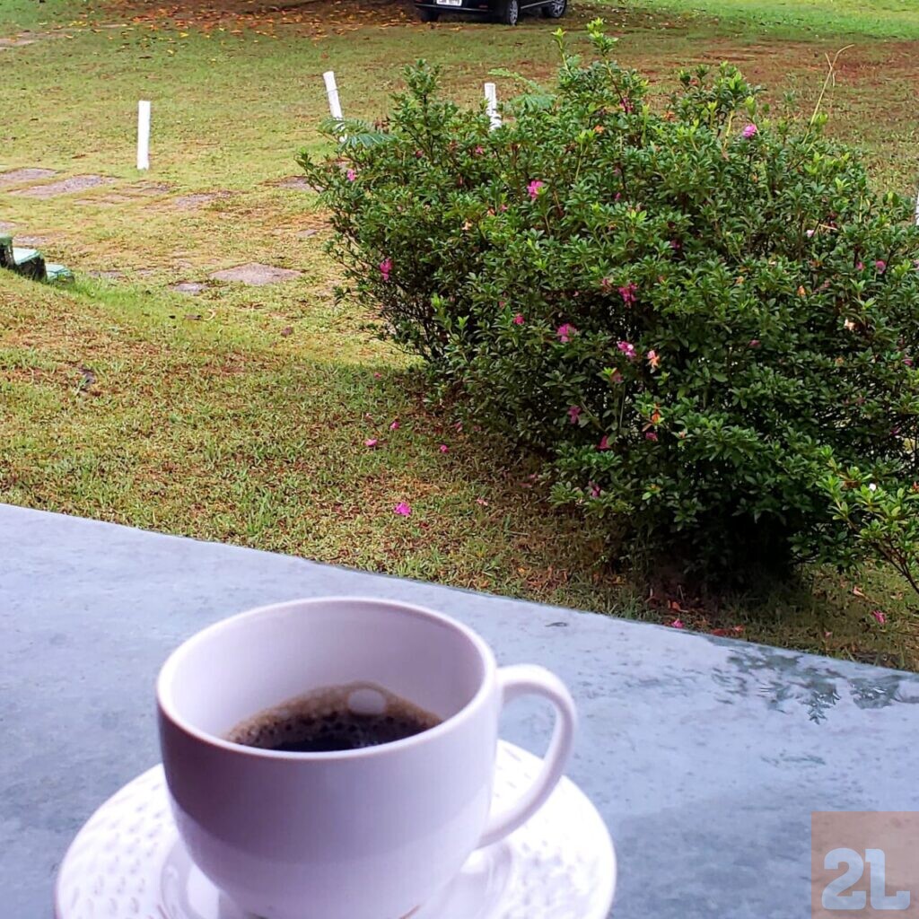 24 DE MAIO, DIA NACIONAL DO CAFÉ