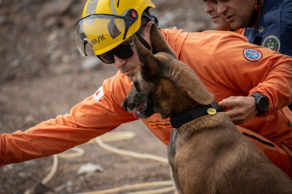 CORPO DE BOMBEIROS SEDIA EVENTO DE CERTIFICAÇÃO NACIONAL DE CÃES DE BUSCA E RESGATE